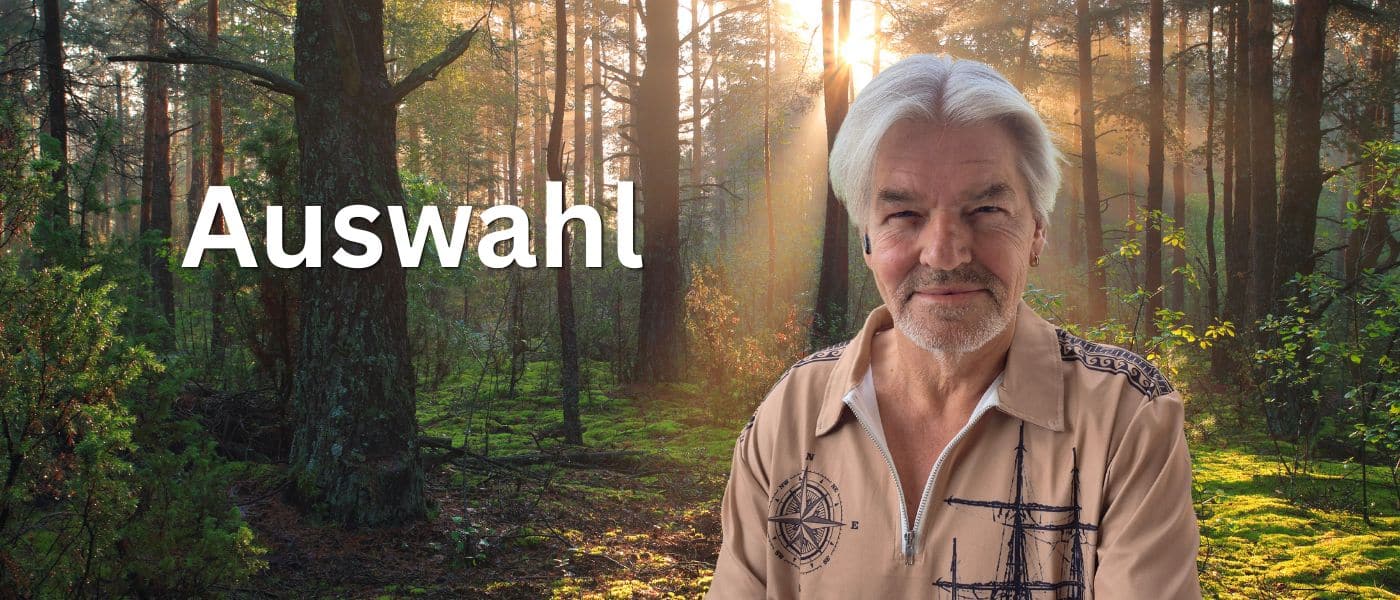 Auswahl Menü
