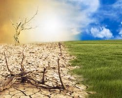 Klimawandel