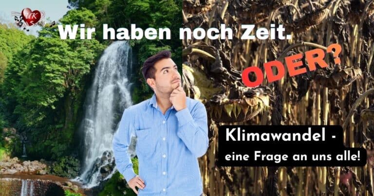 Mehr über den Artikel erfahren 🎵 Wenn wir jetzt nicht handeln